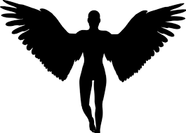 Bluenaboo - Bild 1 von 2