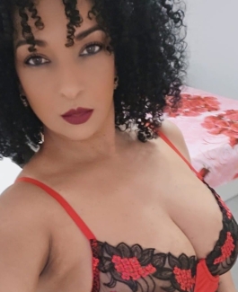 Canela - Bild 2 von 9