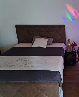 Olga  - Bild 3 von 4