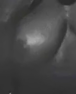 Maya - Bild 4 von 6