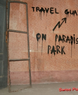 PornNutte-Angi - Bild 4 von 12