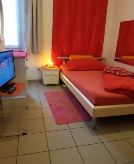 Renato - Bild 4 von 8