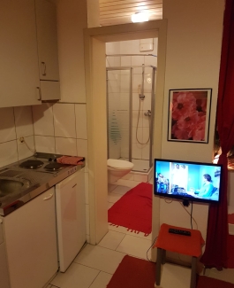 Renato - Bild 1 von 8