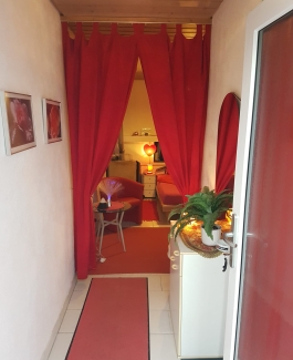 Renato - Bild 3 von 8