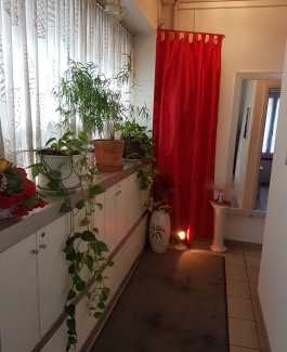 Renato - Bild 5 von 8