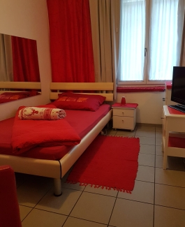 Renato - Bild 8 von 8