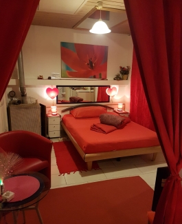 Renato - Bild 2 von 8