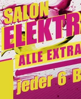 Salon Elektra - Bild 3 von 3