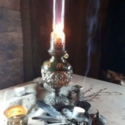 Shakti Oli - Bild 2 von 4