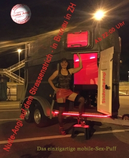 Strichnutte-Angi - Bild 10 von 20
