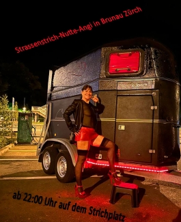 Strichnutte-Angi - Bild 1 von 7