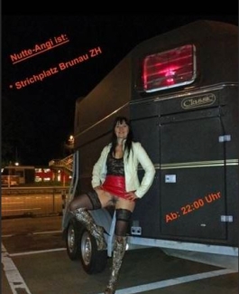 Strichnutte-Angi - Bild 1 von 3