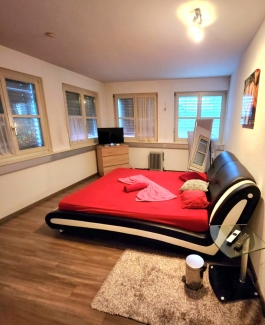 Privatwohnung Zürich - Bild 3 von 6