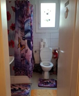 NEU JEENA  + NORA - Bild 6 von 7