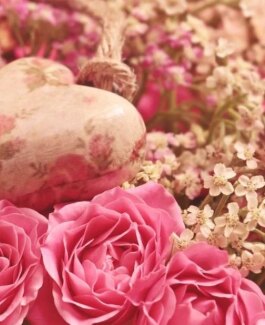 ANANDA - Bild 14 von 15