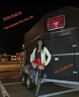Strichnutte-Angi - Bild 8 von 8