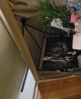 Brauchst Du Geld Webliches Personal Gesucht kurzfristig. - Bild 4 von 4