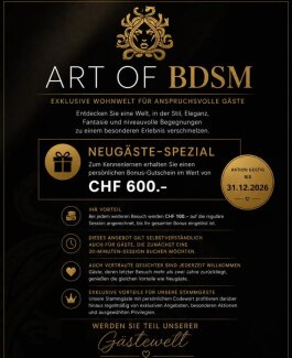 ART OF BDSM WOHNWELT