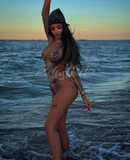 Celine NEU - Bild 2 von 4