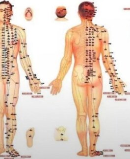 Asia Girl - Bild 4 von 4