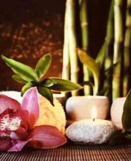 Sinnliche Massagen & MEHR - Bild 2 von 6