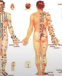 China Girls - Bild 2 von 5