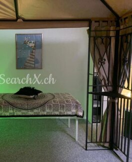 Gäste da aber keine Girls Suche Sie - Bild 5 von 5