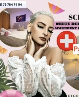 PaDom - Bild 9 von 9