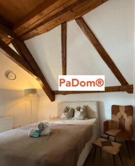 PaDom - Bild 6 von 9