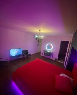 Bern Appartements - Bild 6 von 14