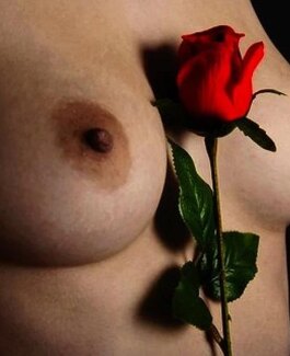 Kamali  – Adamʼs Secrets  – Bern - Bild 3 von 4