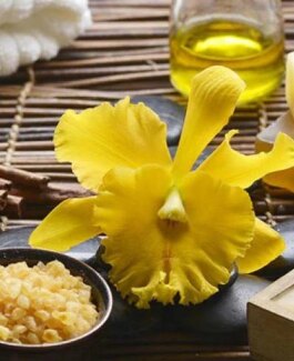 Sarah - Bild 2 von 6