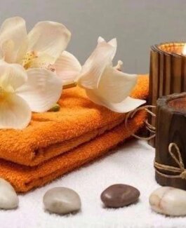 CAROLA - Bild 9 von 9