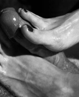 Lilly - Bild 2 von 4