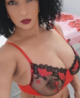 Canela - Bild 2 von 9