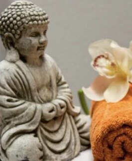 Paula - Bild 3 von 3