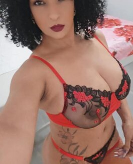 Canela - Bild 9 von 9