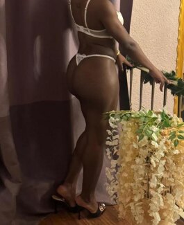 Reyna 26 - Bild 5 von 8