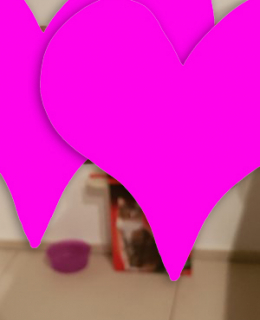Phil - Bild 1 von 3