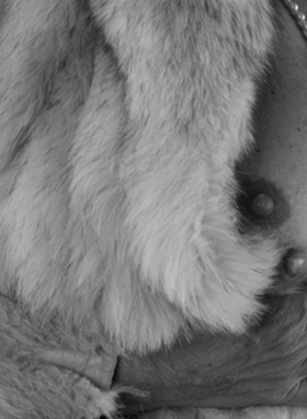 Marisa - Bild 5 von 5