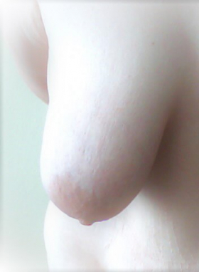 SugarStephanie - Bild 1 von 1