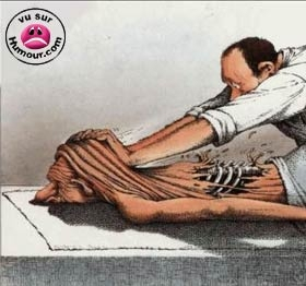 MASSAGEFEE  - Bild 3 von 3