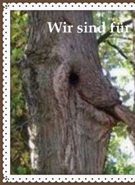 Miranda - Bild 1 von 3