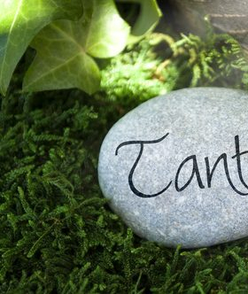  Bad Ragaz ,Tantra Oase  - Bild 3 von 3
