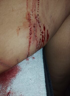 Steffi - Bild 2 von 4