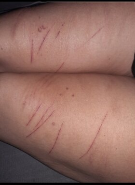 Steffi - Bild 3 von 4